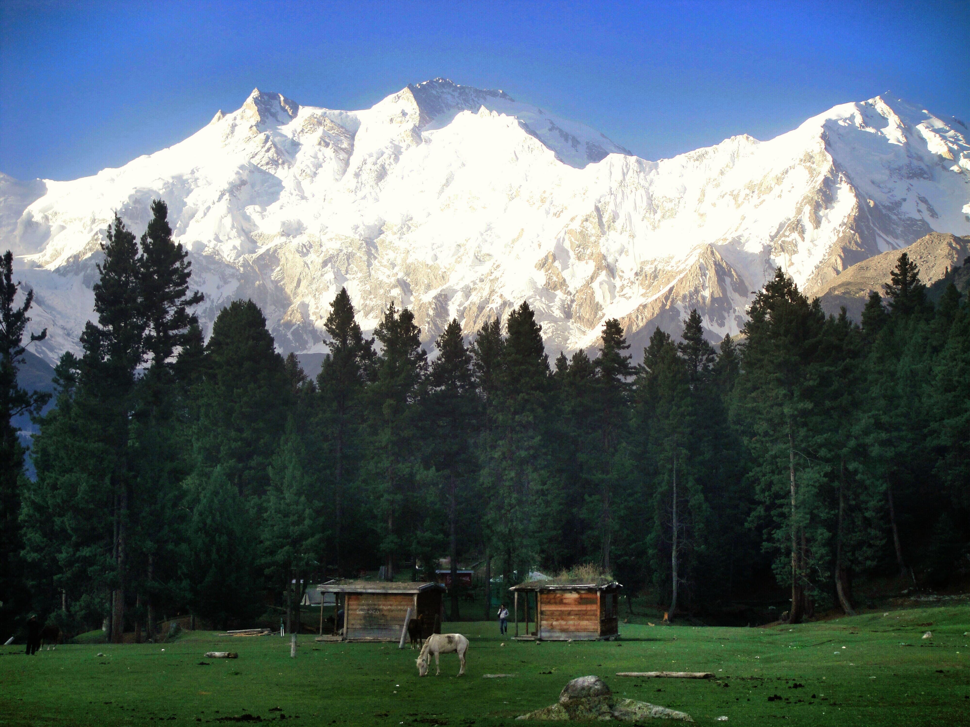 Nanga Parbat from Fairy Meadows