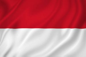 IndoNesia